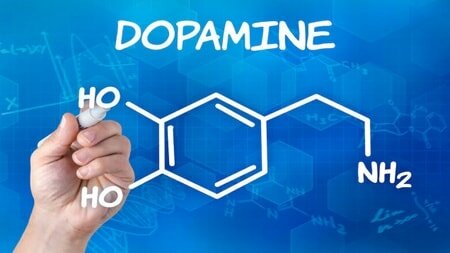 Древний гормон дофамин — причина любой зависимости.
